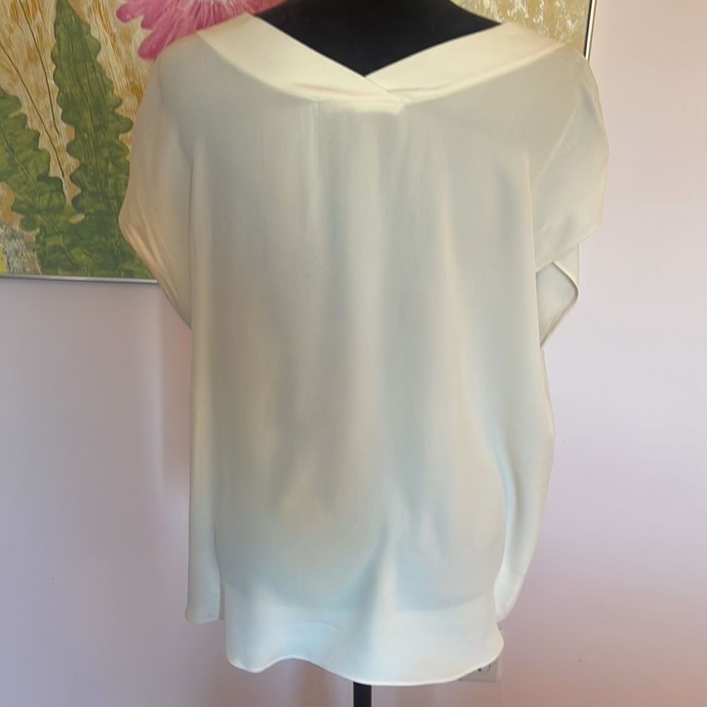 Deep V Tunic - Picture 3 of 5